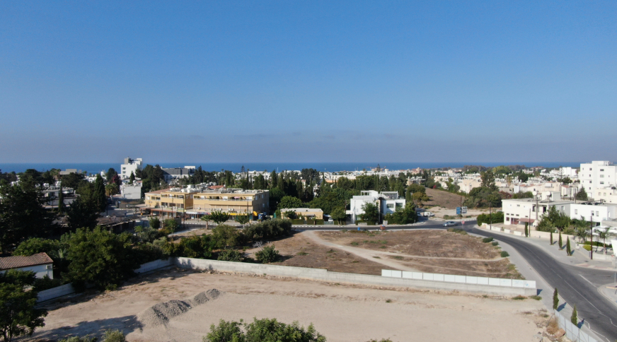 section catalog photo